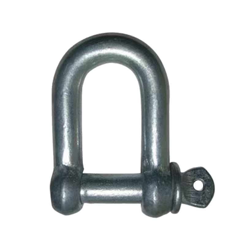 G210 Amerika Jenis D-Shaped Die Forged Shackle (316)